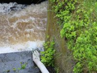 Hochwasser 2013