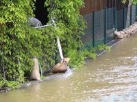 Hochwasser 2013